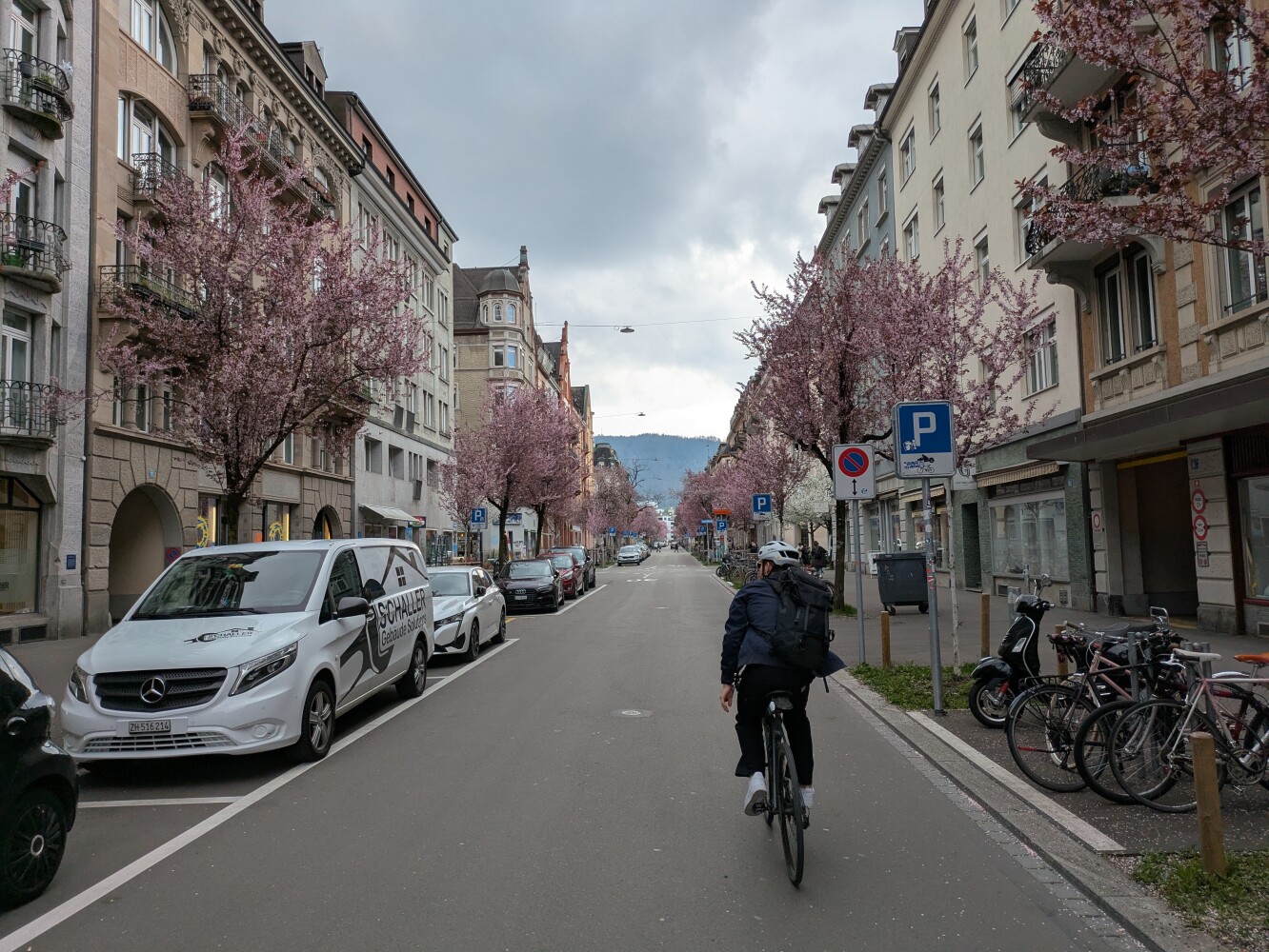 I arrived just in time to catch cherry blossoms in Zürich