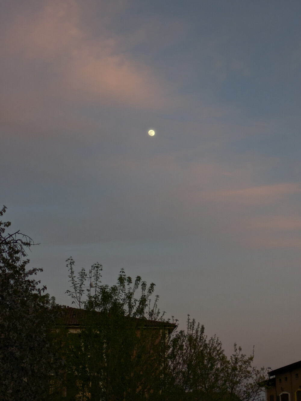 The Moon has been gorgeous lately