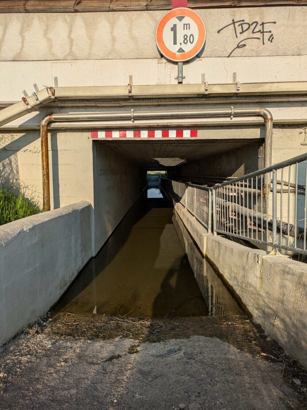 More questionable routing: this motorway underpass was filled with a puddle that went nearly halfway up my wheels. It contained fish.