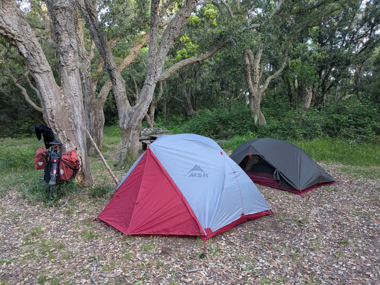 It was a good camping spot