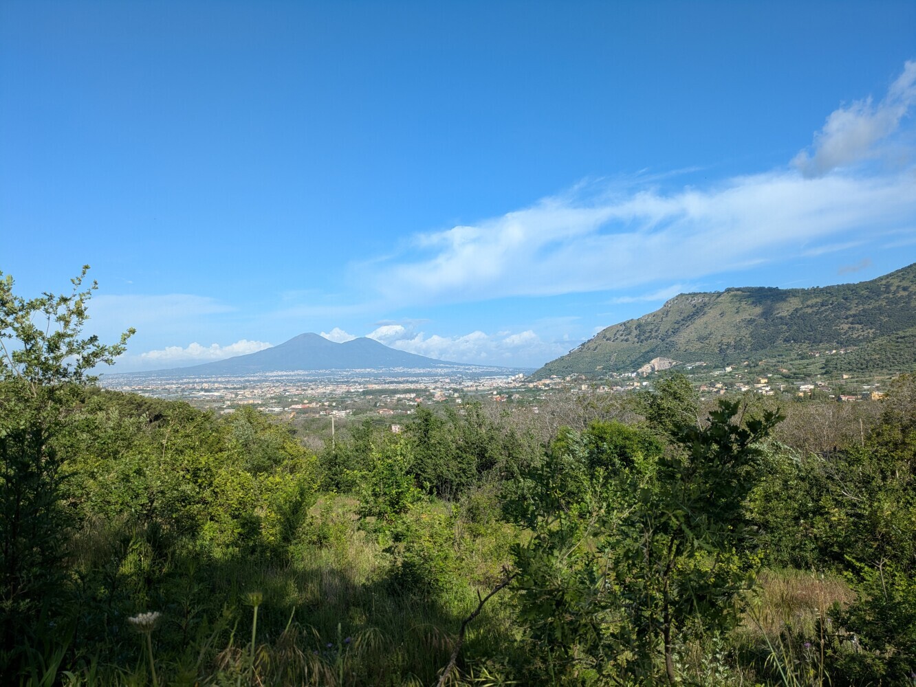 Morning volcano views
