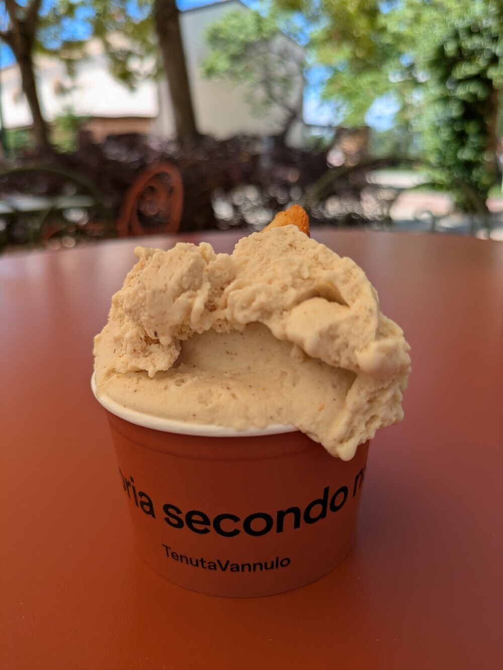 A worthy detour: buffalo milk gelato near Paestum