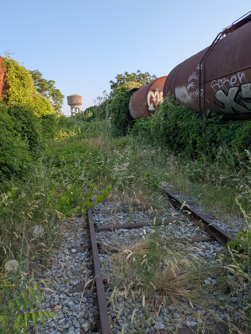 The scale is hard to convey - there are hundreds of abandoned train carriages
