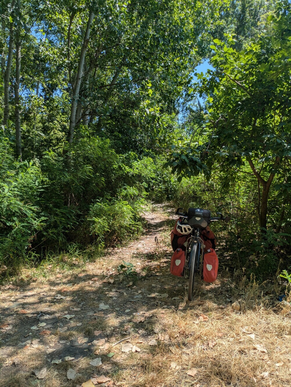Taking a rest in the shade