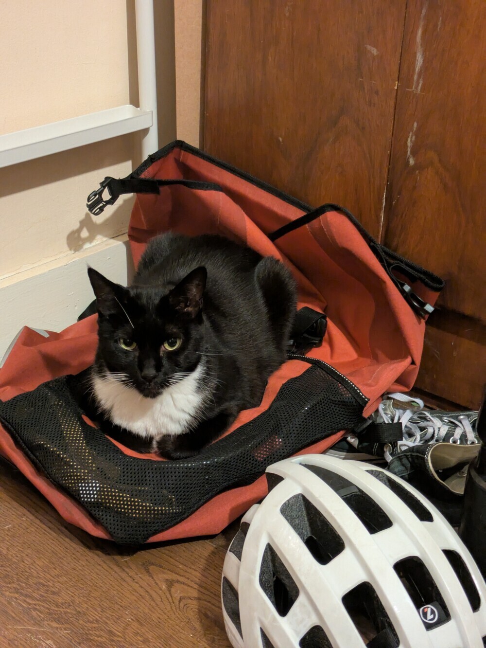 My bike bag was commandeered in London