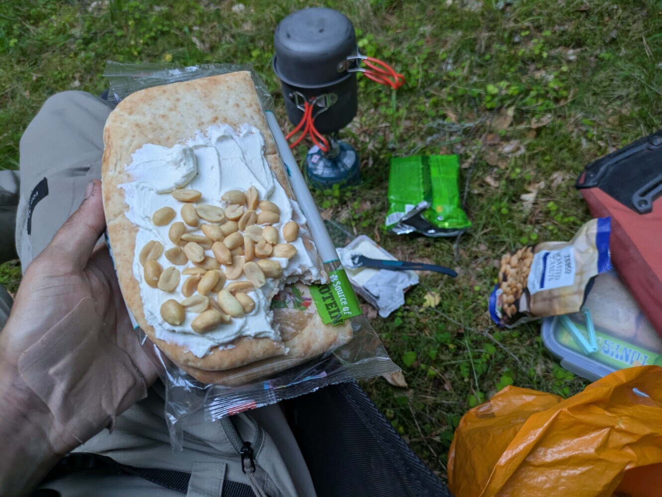 Peanuts on cream cheese is a good combo and I'll die on this hill