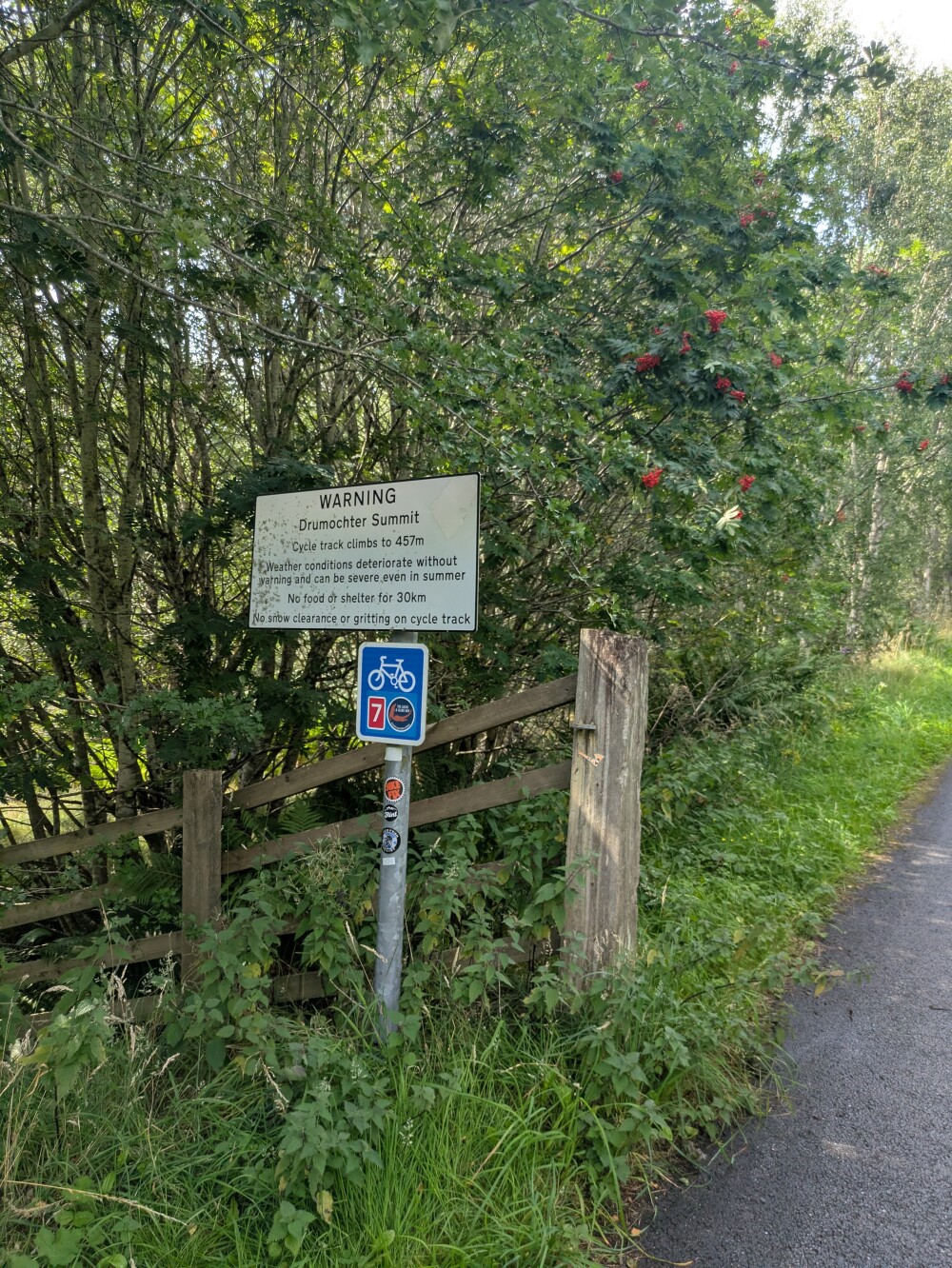 An exciting sign - no cars for a while!