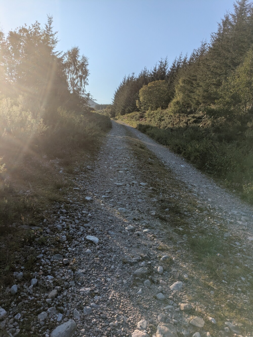 Up the gravel path