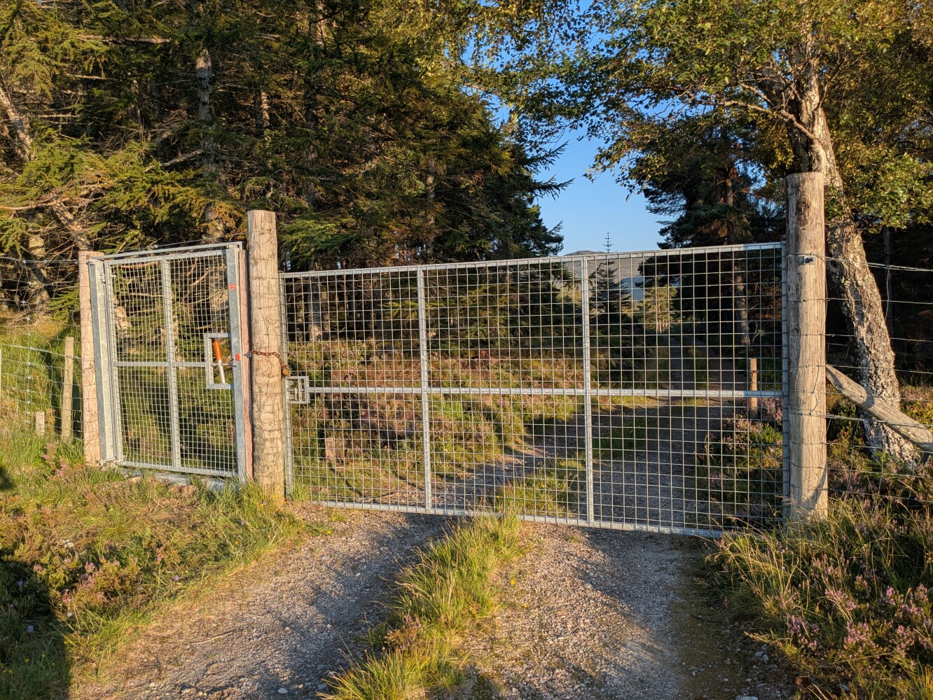 Thankfully, the smaller gate was unlocked