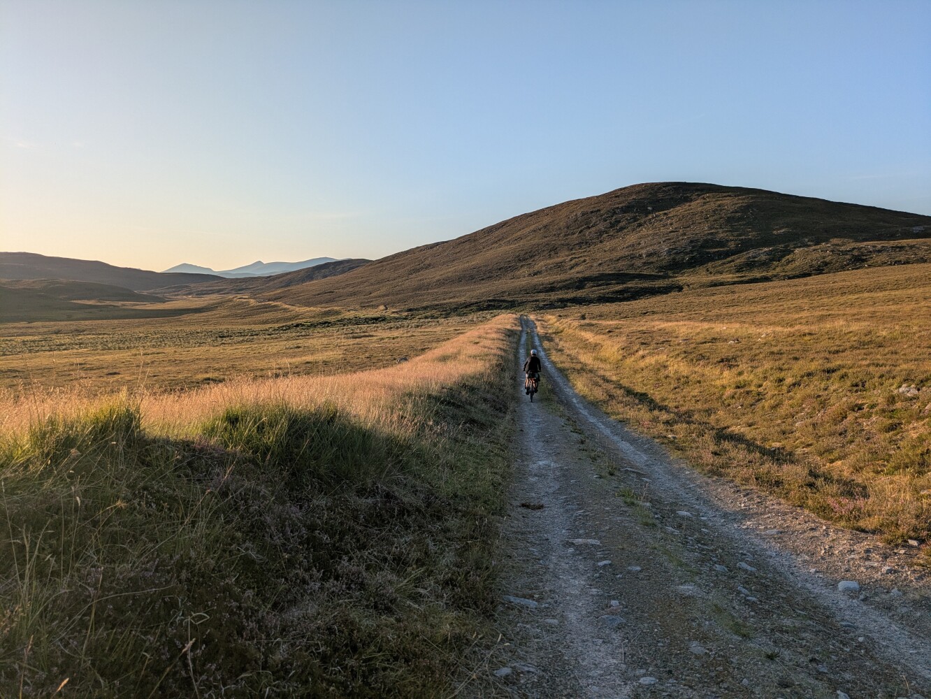 The new landscape