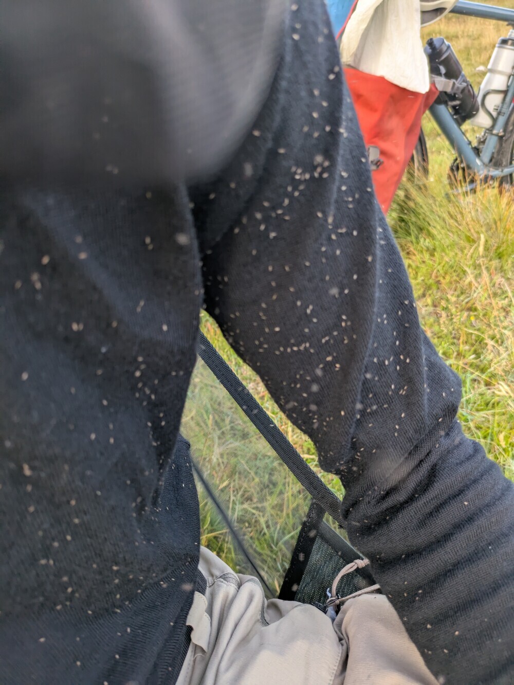 The one downside: many, many midges