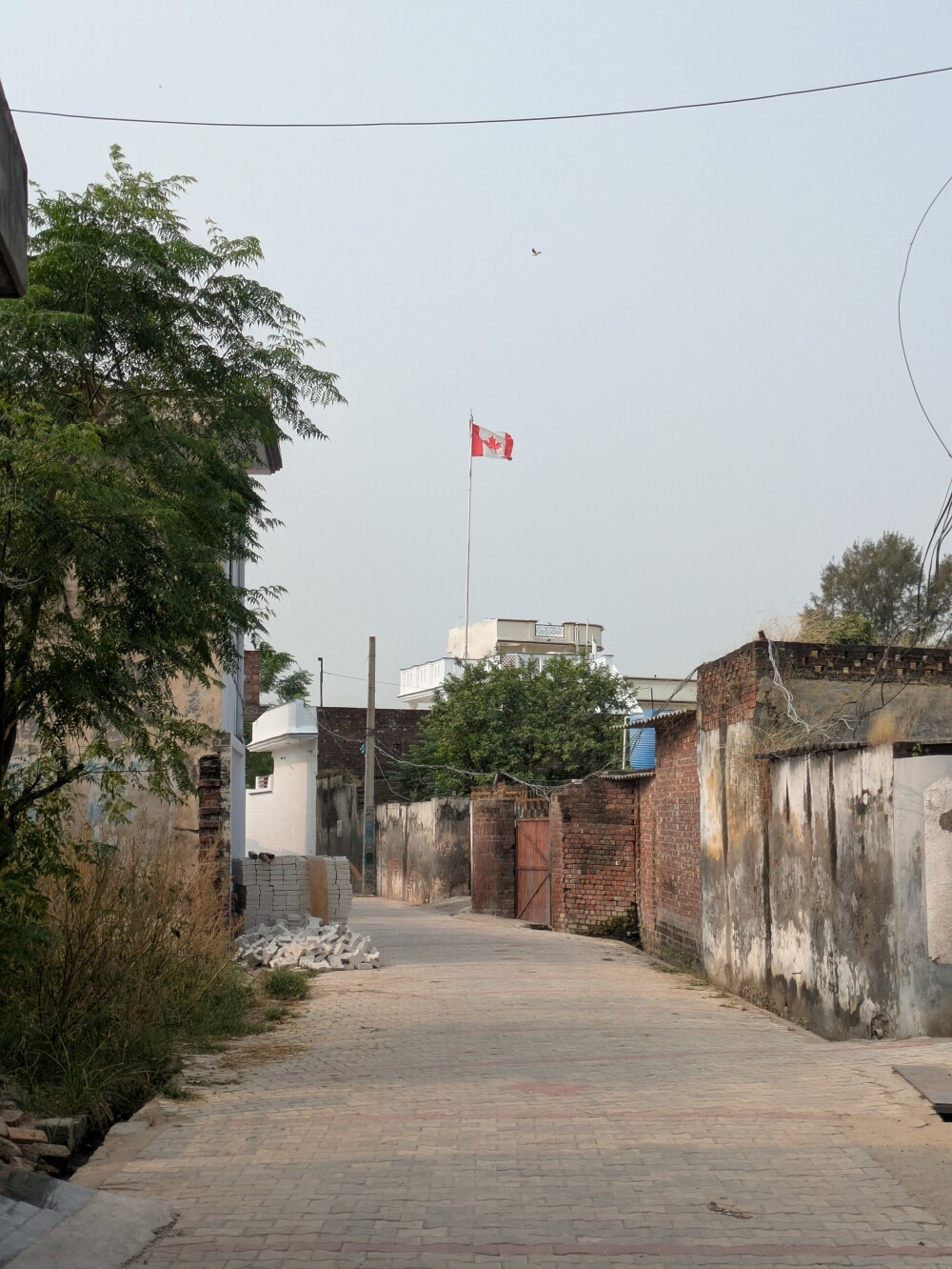 Canada is ever-present in Punjab, perhaps even more than the UK. Lots of Punjabis want to move there or know someone who has.