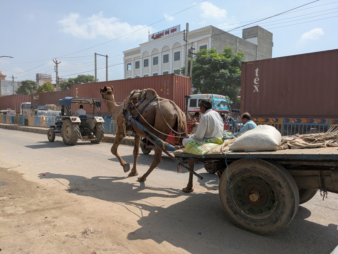 My first camel-drawn vehicle sighting