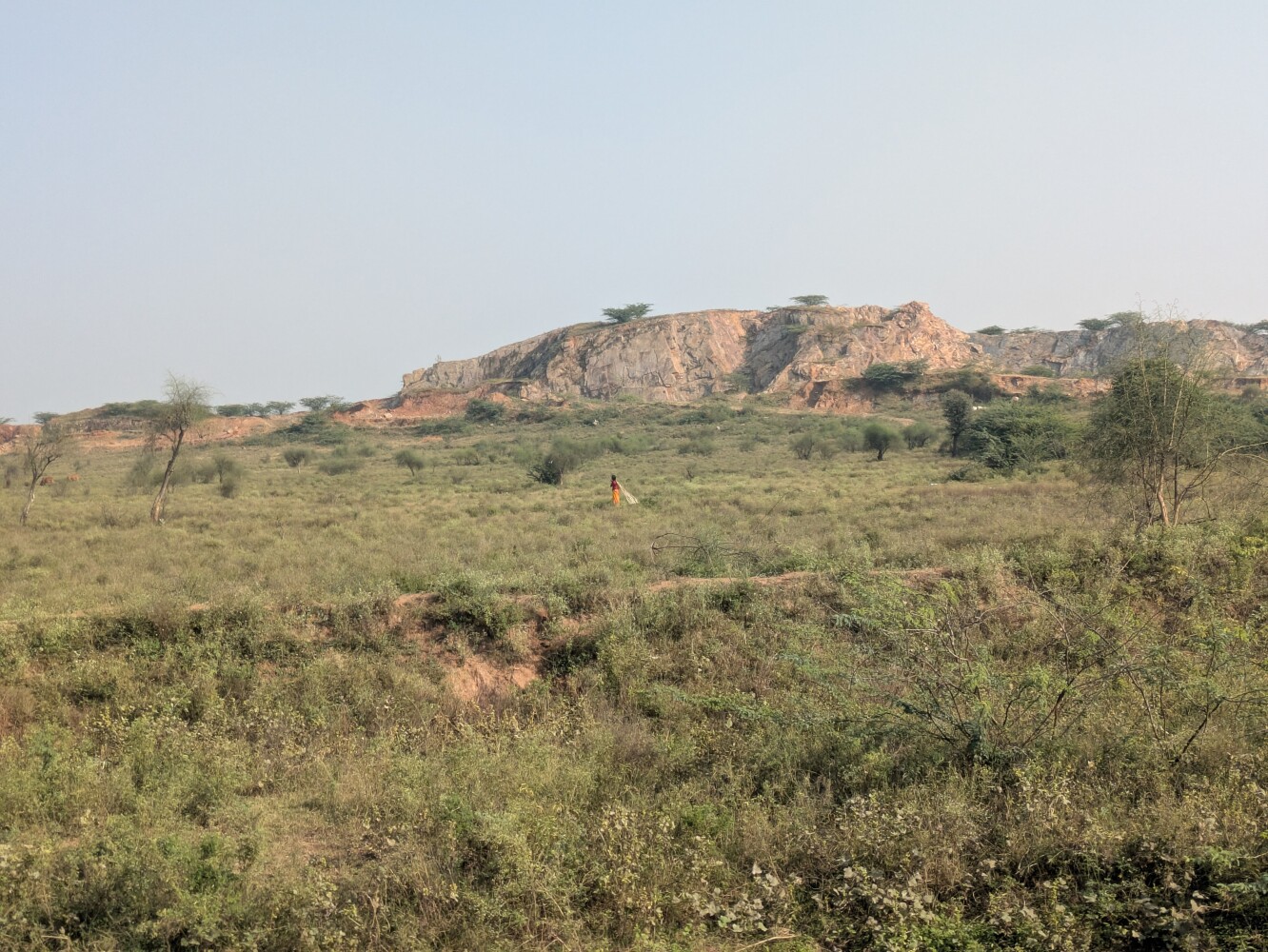 Hills begin to appear in the distance: the Aravalli range