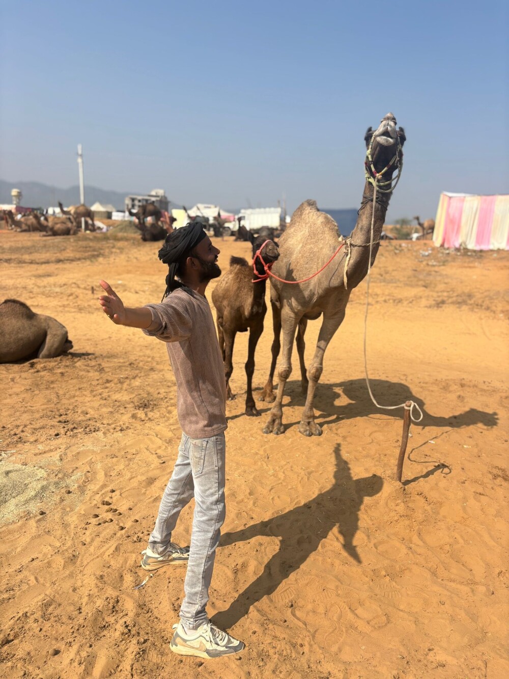 We didn't see a lot of camels, but this guy was all energy and good vibes singing DDLJ