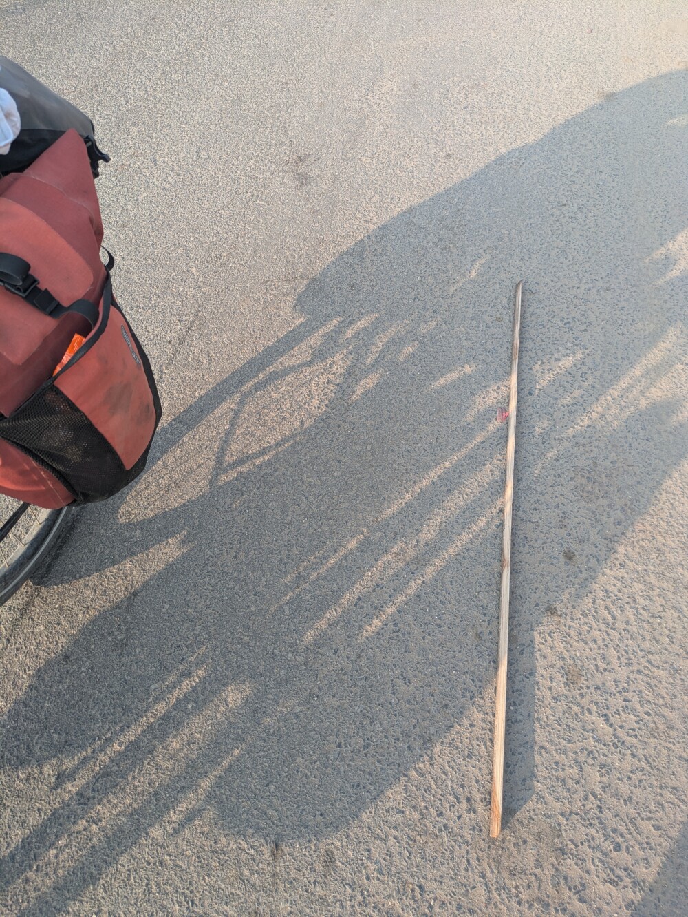 The stick I pulled from my spokes