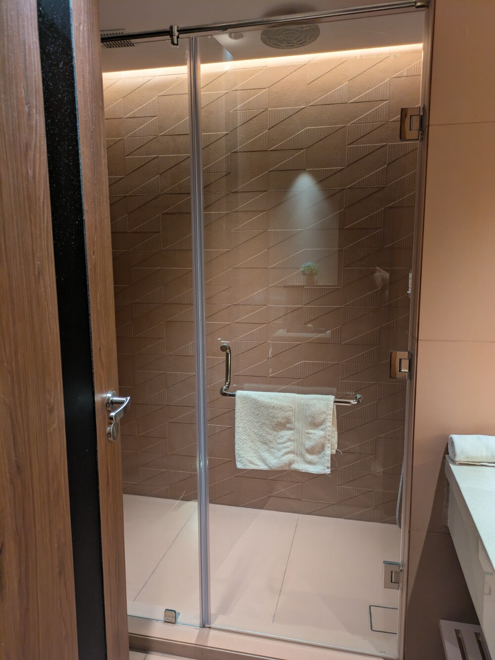 But the shower was the star