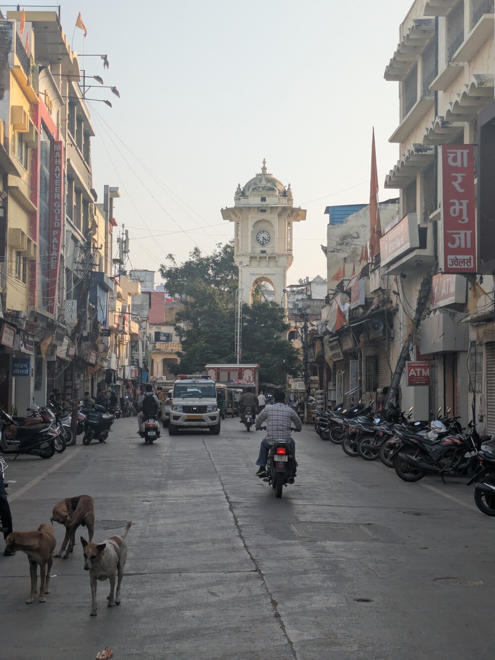 Udaipur city