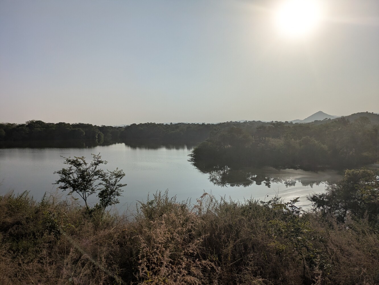 We didn't spot any crocodiles, sadly