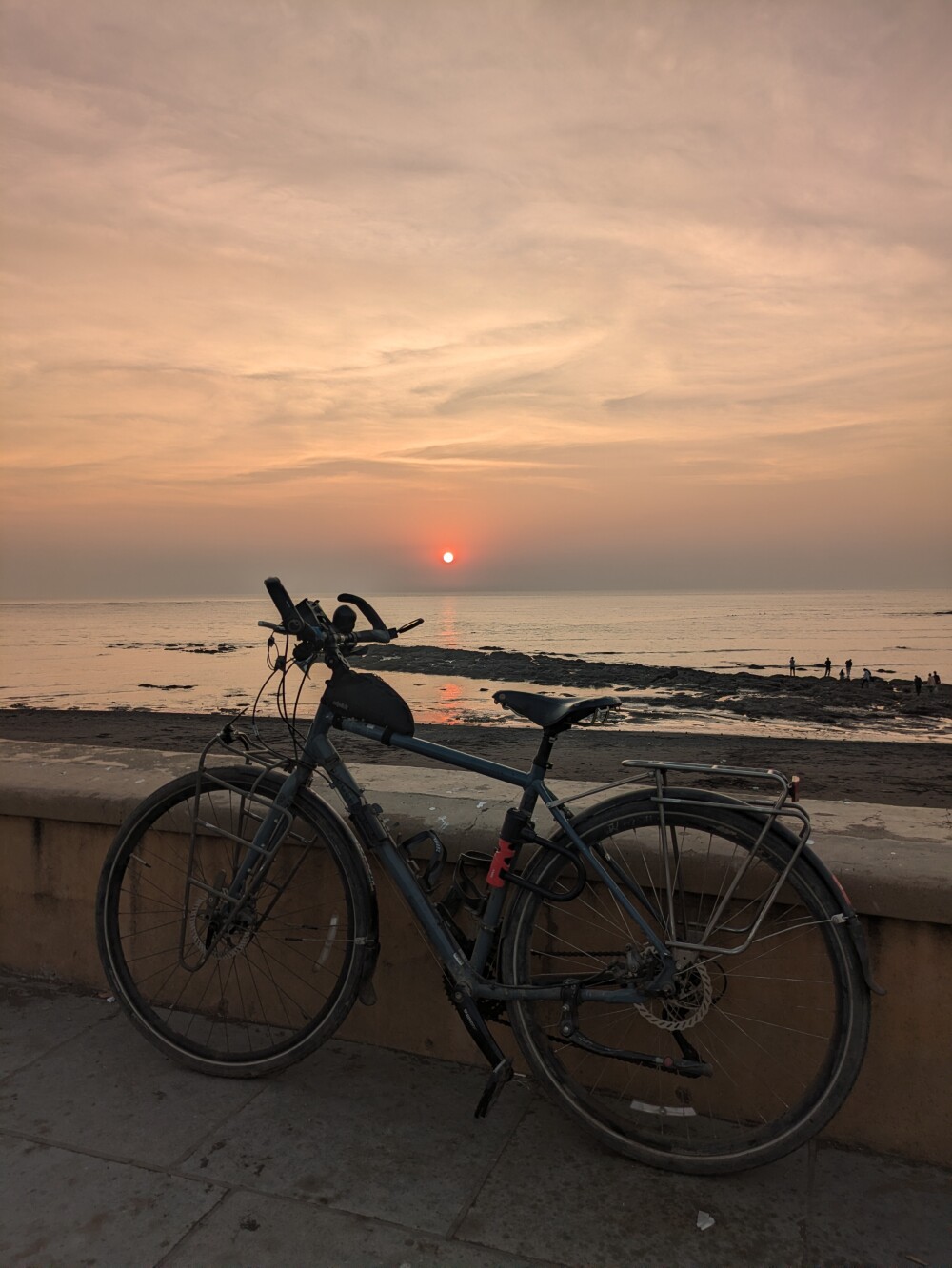 I ditched my panniers to go round the city