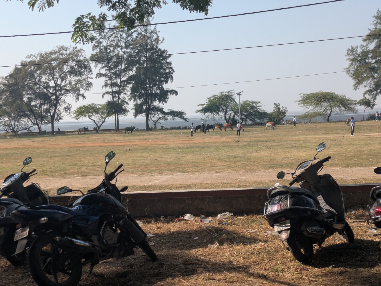 Cricket game in progress