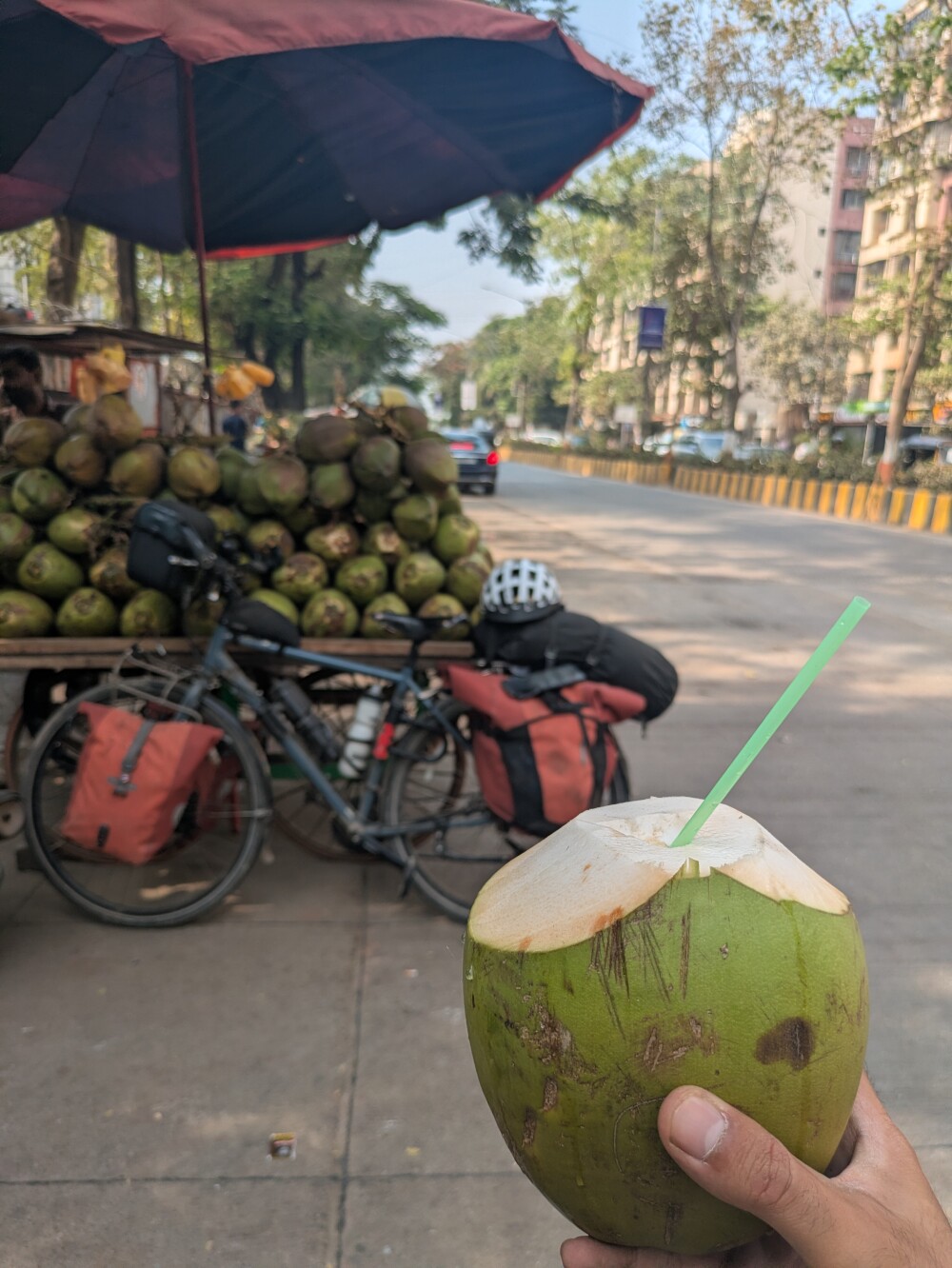 Celebratory coconut