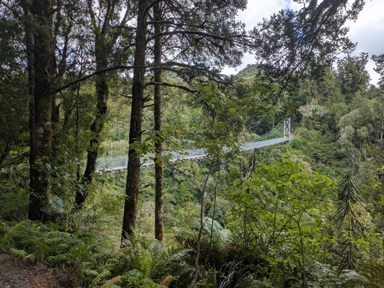 The first suspension bridge