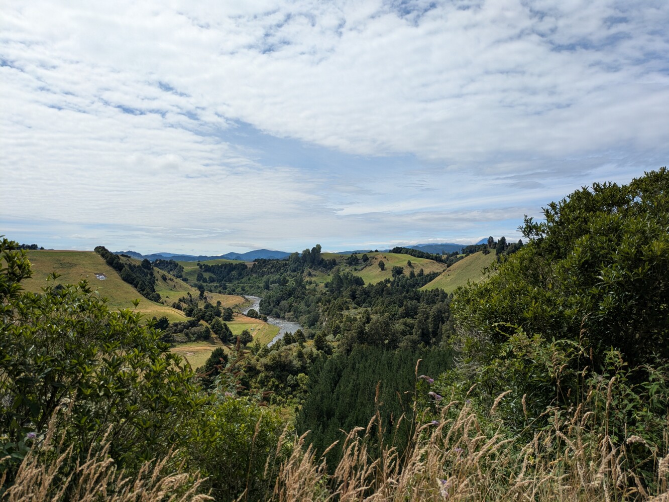 A very volcanic landscape