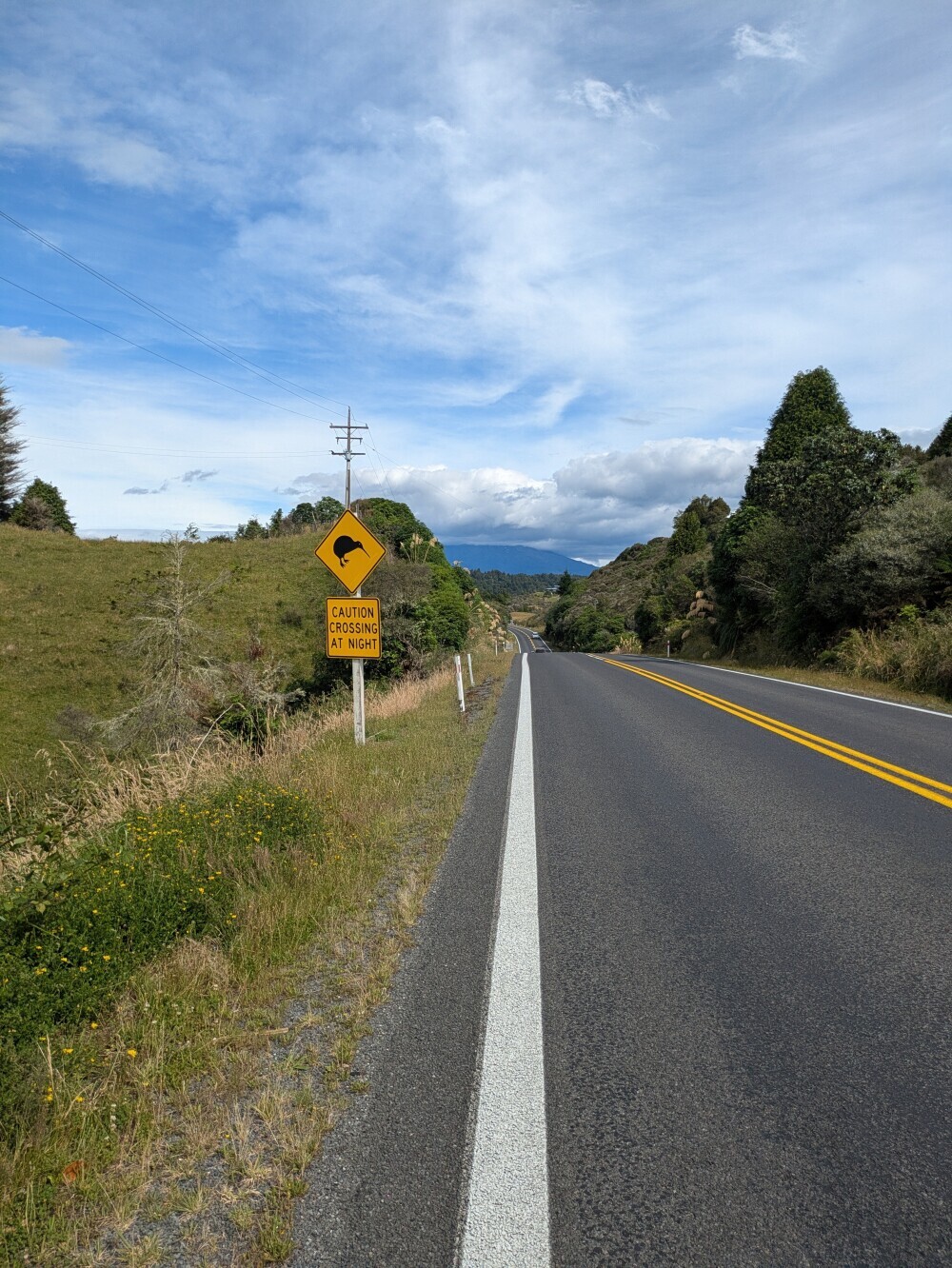 Iconically Kiwi signage