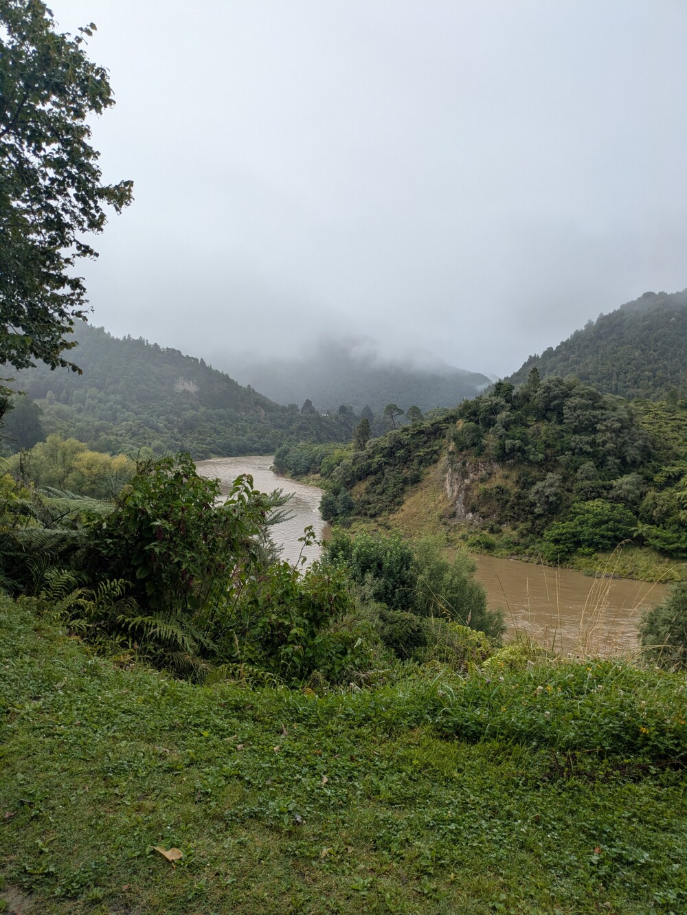 The Whanganui river