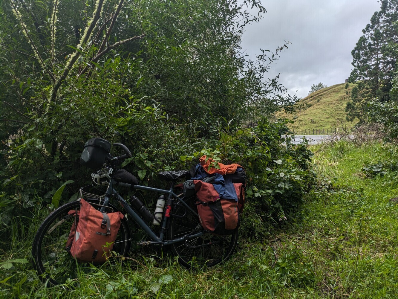 I planned to wild-camp behind a bush outside Hunterville, but it was just too wet and sad